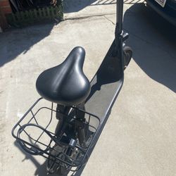 Electric Scooter 