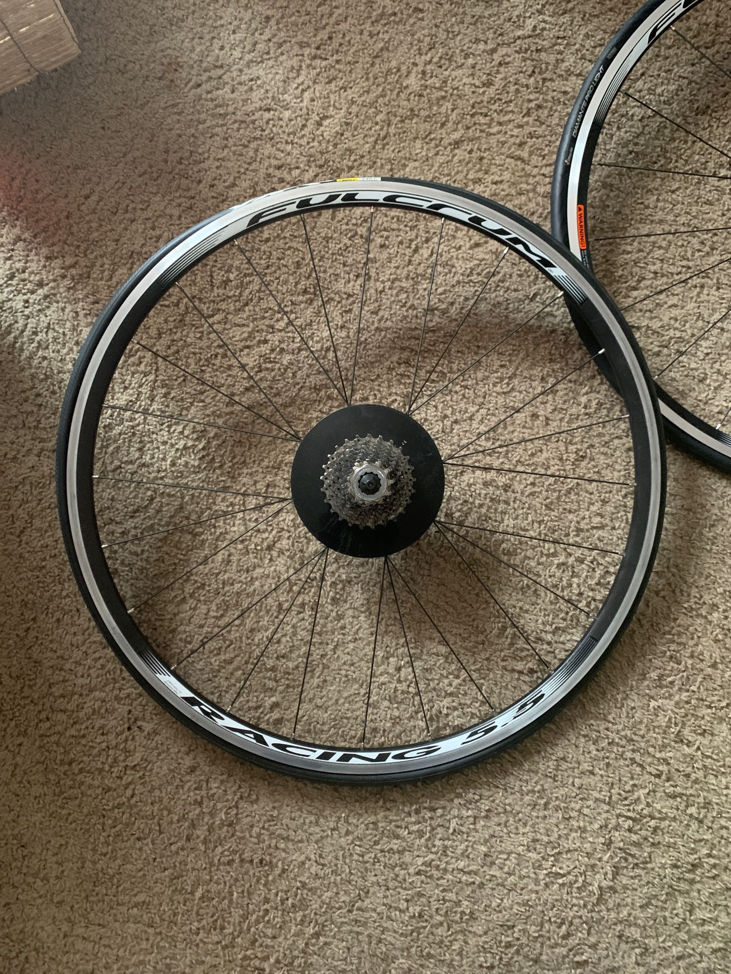 Fulcrum 5.5 racing bike tires