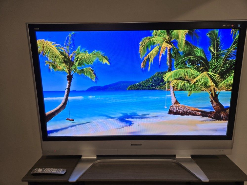 Panasonic 58" Flat Screen TV