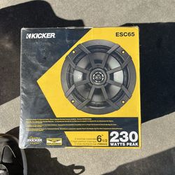 Car speakers(kicker)