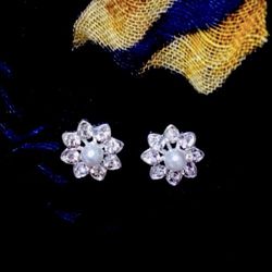 925 silver coated alloy earrings studs #27