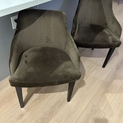 Velvet Chairs