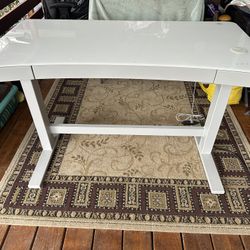 48 x 24 inch Electric Standing Desk, Height Adjustable Desk 