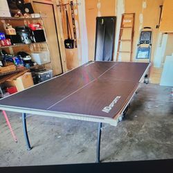 Ping Pong Table Need Gone Today