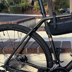 Trek Checkpoint SL5 2021