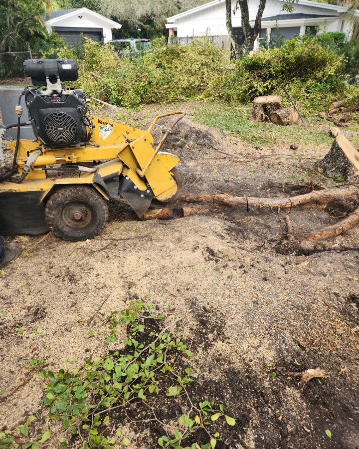 Stump Grinding