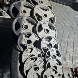 Weight Olympic Plates 