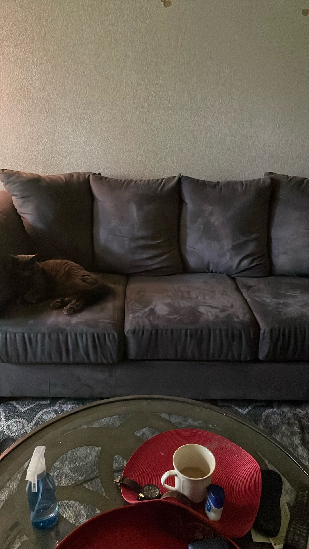 Gray Couch