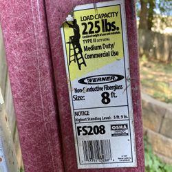 Werner 8 Foot Fiberglass Step Ladder