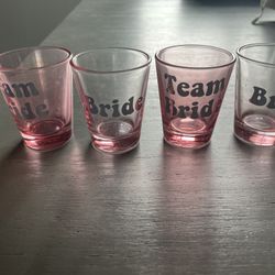 Bachelorette Shot Glasses