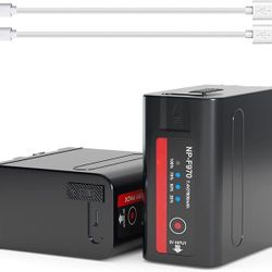 2-Pack NP-F550 USB-C Battery 7800mAh Compatible with NP