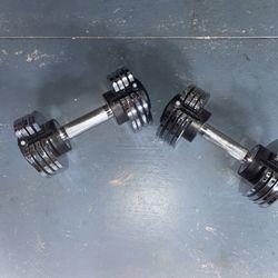 Adjustable Dumbbell Weights