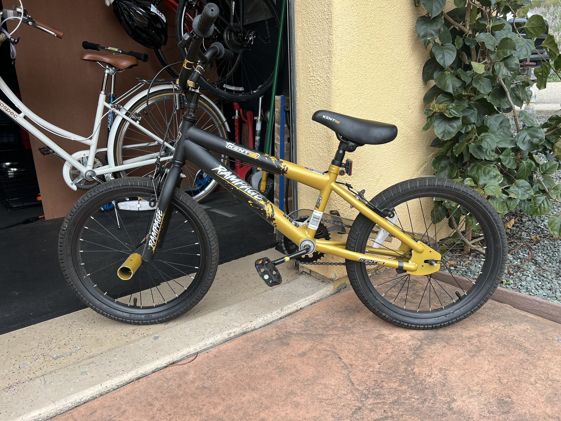 Kids 18” Bike 