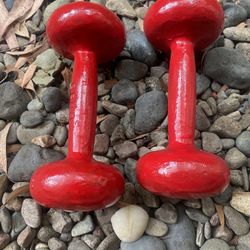 8LBS Iron Dumbbells 