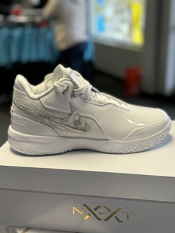 Brand New Lebrons
