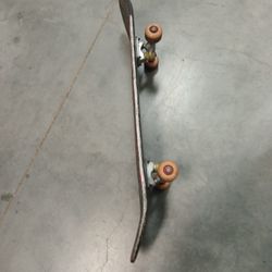 Skate Board 