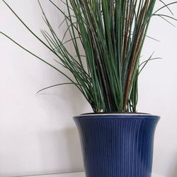 Large Artificial Grass Plant with Ceramic Pot