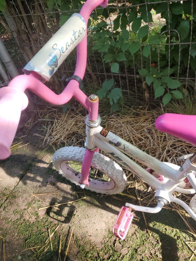 10 Inch Girls Bike Ready To Go