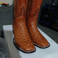 Ostrich Boots 