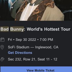 Bad Bunny 