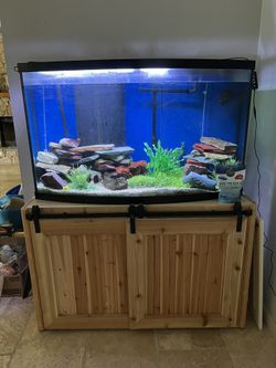 120 Gallon Bowfront Fish tank With Custom Barn Door Stand
