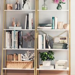 2 Ladder Bookcases
