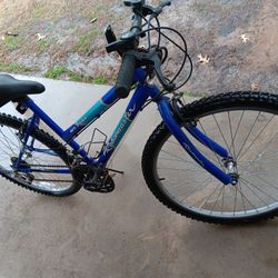 Mt Fury. Roadmaster Bike 26