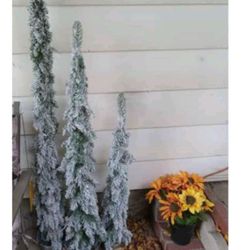 Tree Flocked 