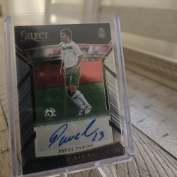 Pavel Pardo Auto
