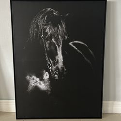 Horse Mural Painting