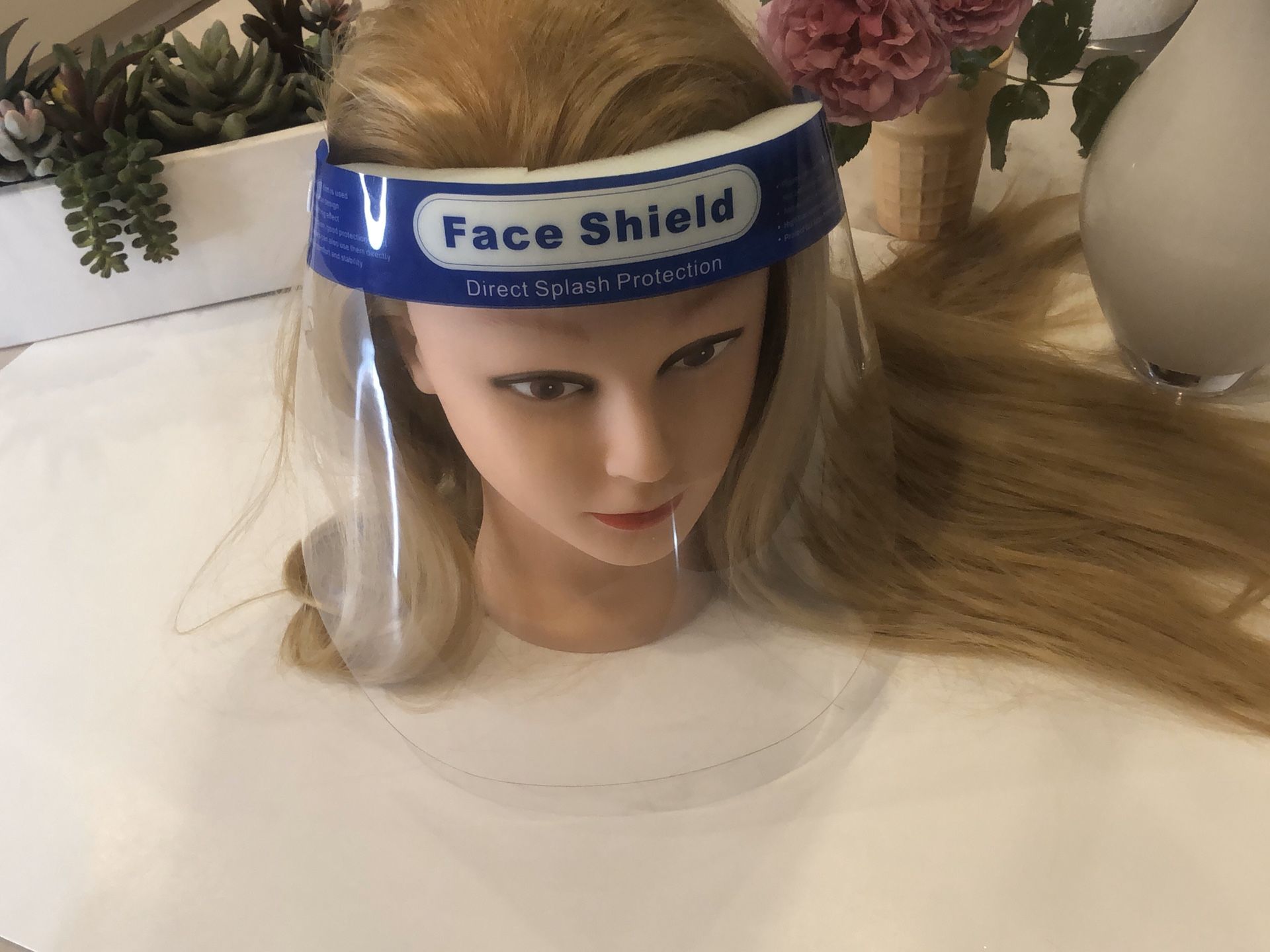 Face Shields/ Careta