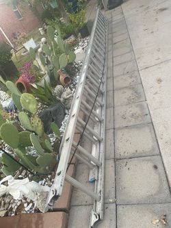 Escalera de 40 pies