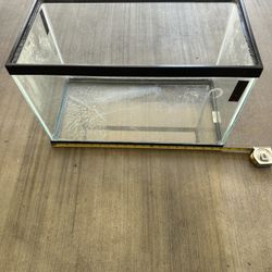 Fish Tank 