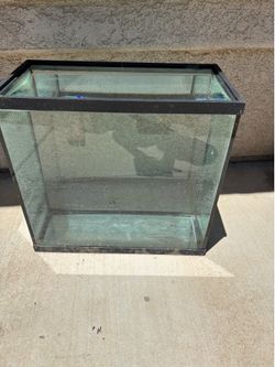 Fish Aquarium