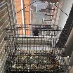 Pet Cage 