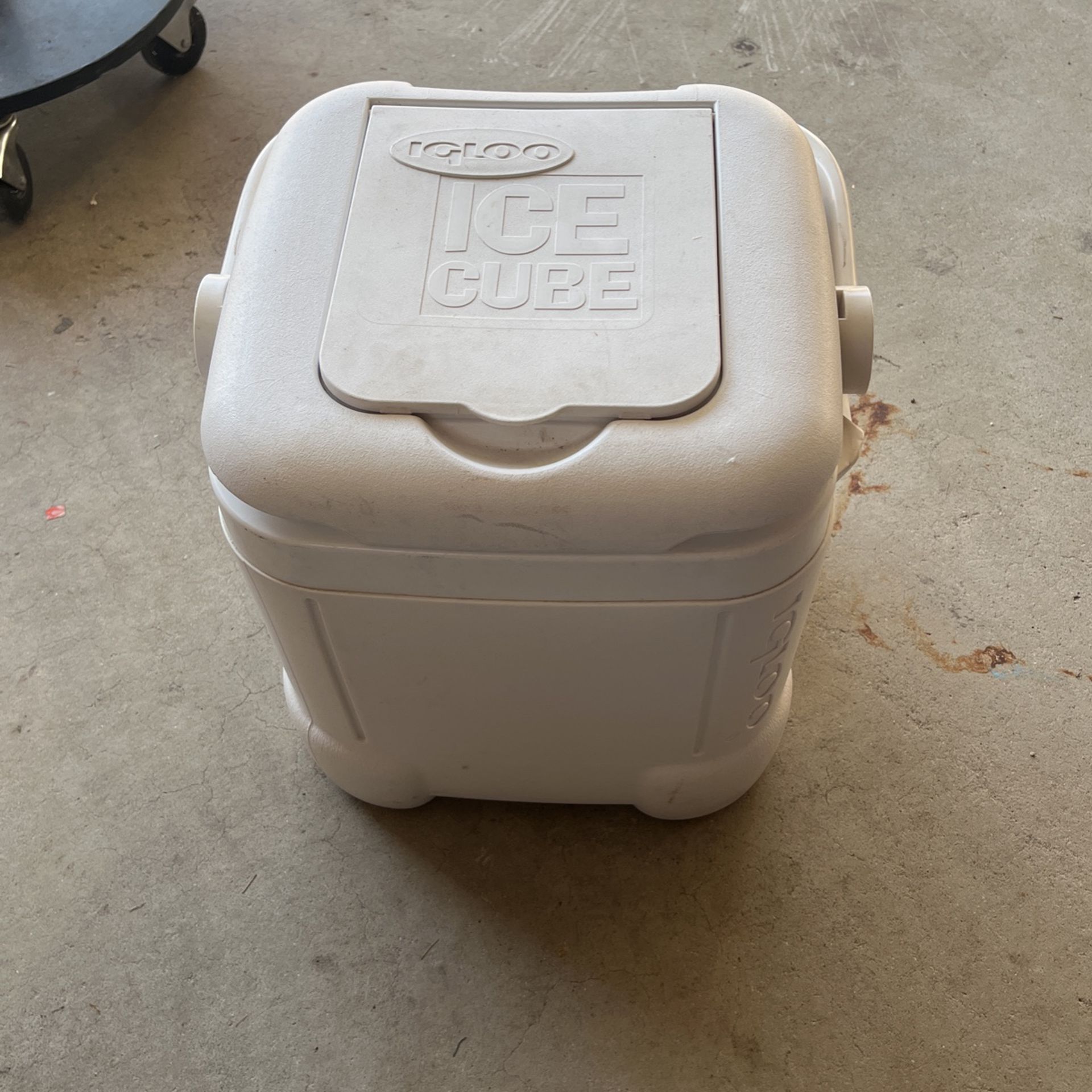 Small Igloo Ice Chest