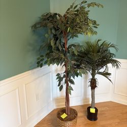 faux ficus and palm tree $ 15.00 for both 