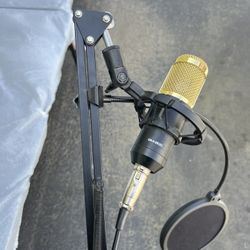 Microphone