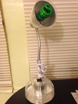 Table Lamp