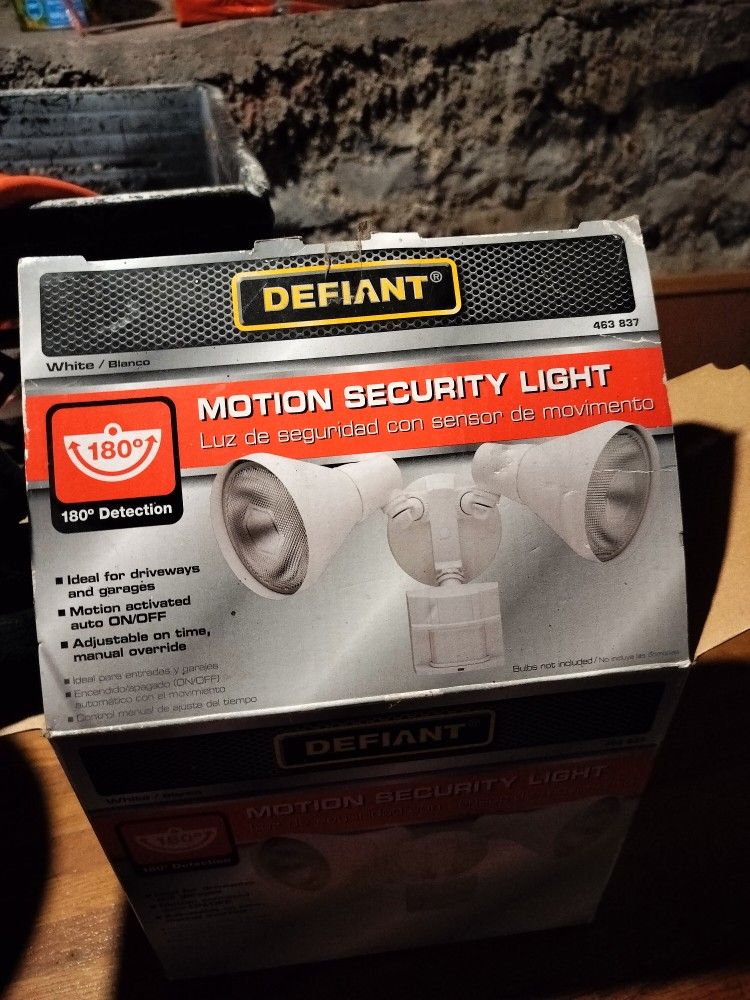 Hardwired Security Light