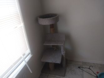 Cat scratcher/sitter