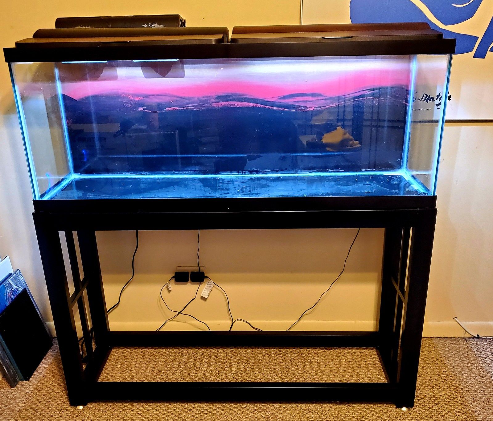 55 gallon fish tank with stand and filter OBO