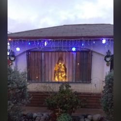 Christmas Decorations 