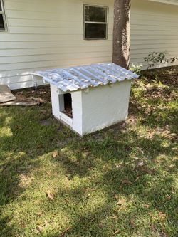 Dog House