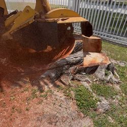 Stumps Grinder 