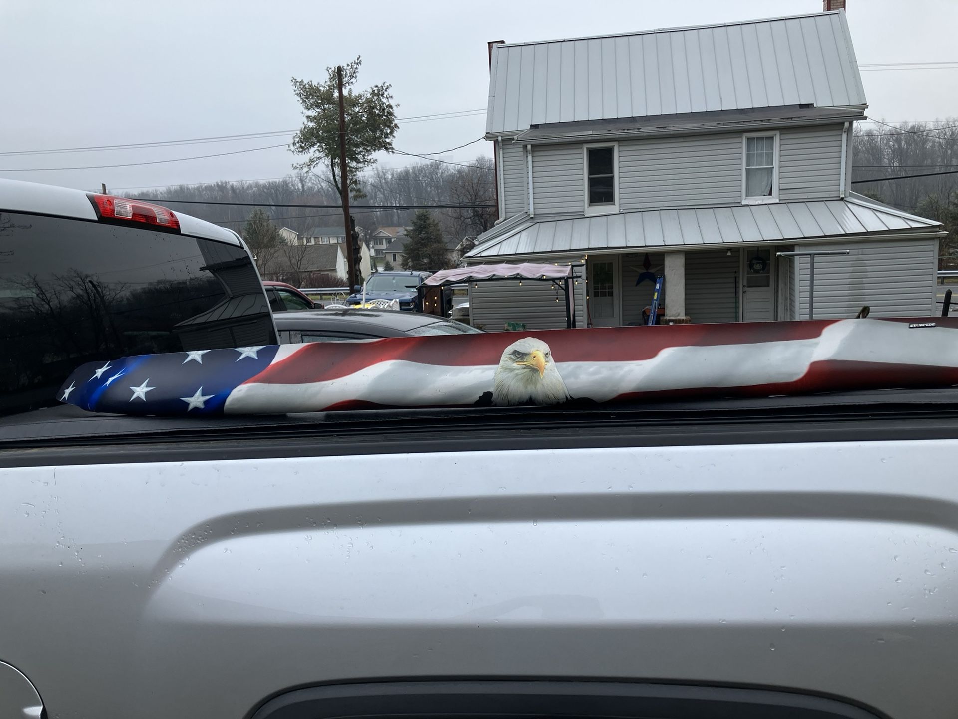 American Bug Shield With Eagle. Best Offer