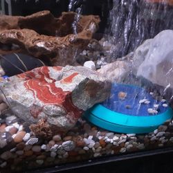 AQUARIUM 90 GALLON ACRILIC  TANK WITH ALL SUPPLIES.  WE ARE DOWNSIZING.   