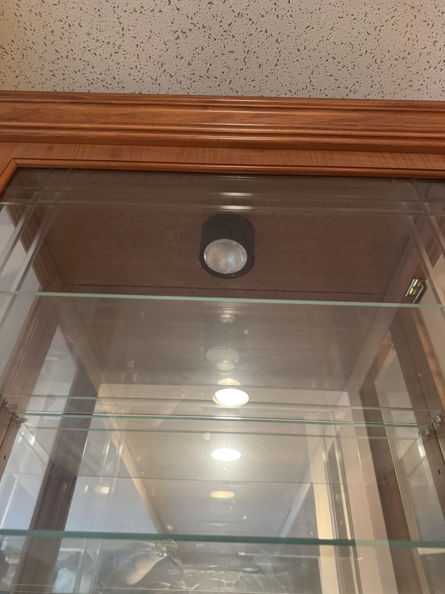 Curio Cabinet - Glass and wood Lighted Local pickup only