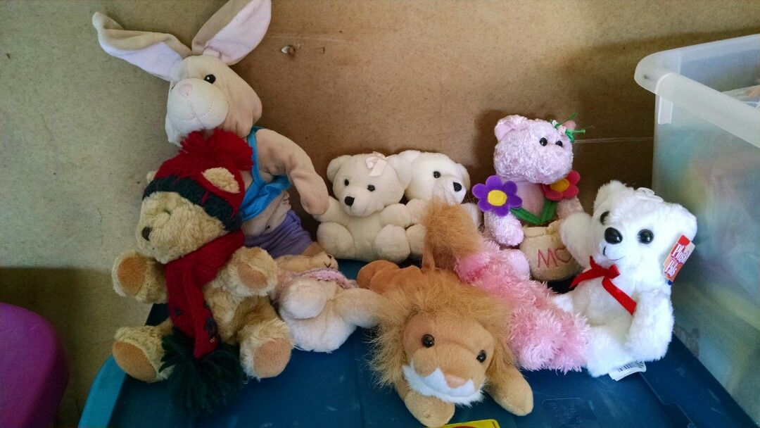 Teddy Bears and Rabbits Toys