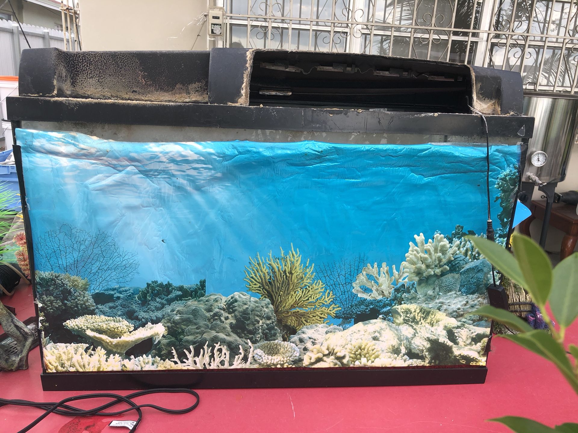 Fish tank